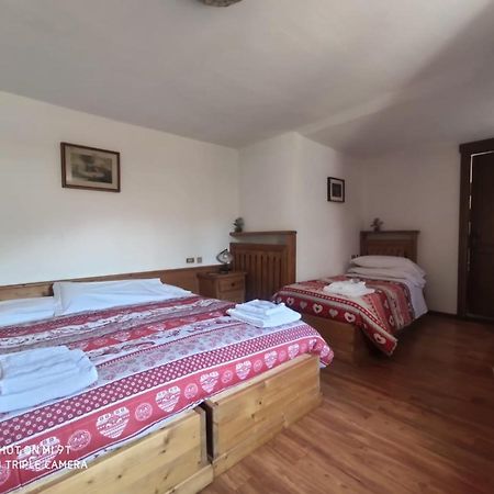 La Favorita Bed & Breakfast Lozzo Cadore ภายนอก รูปภาพ
