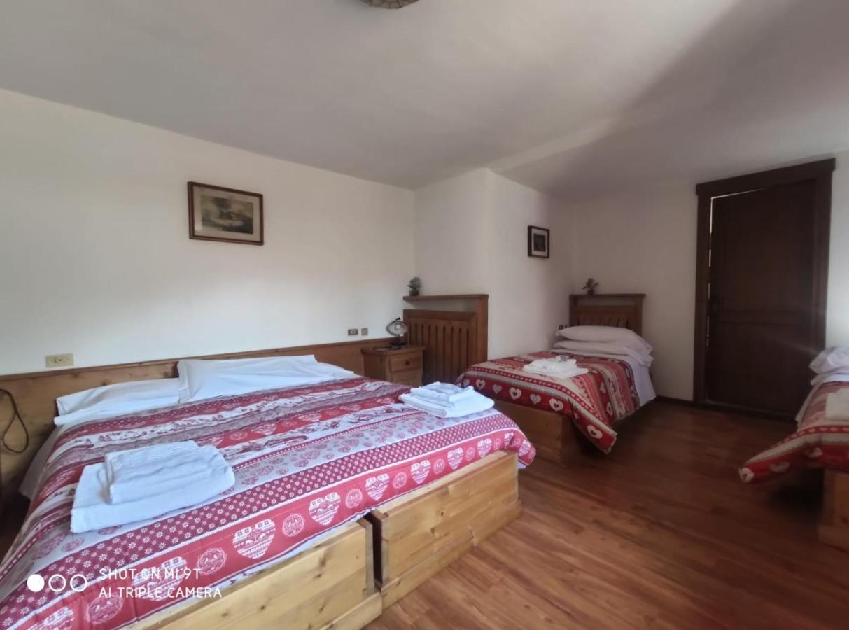 La Favorita Bed & Breakfast Lozzo Cadore ภายนอก รูปภาพ