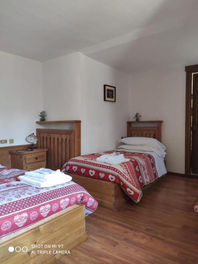 La Favorita Bed & Breakfast Lozzo Cadore ภายนอก รูปภาพ